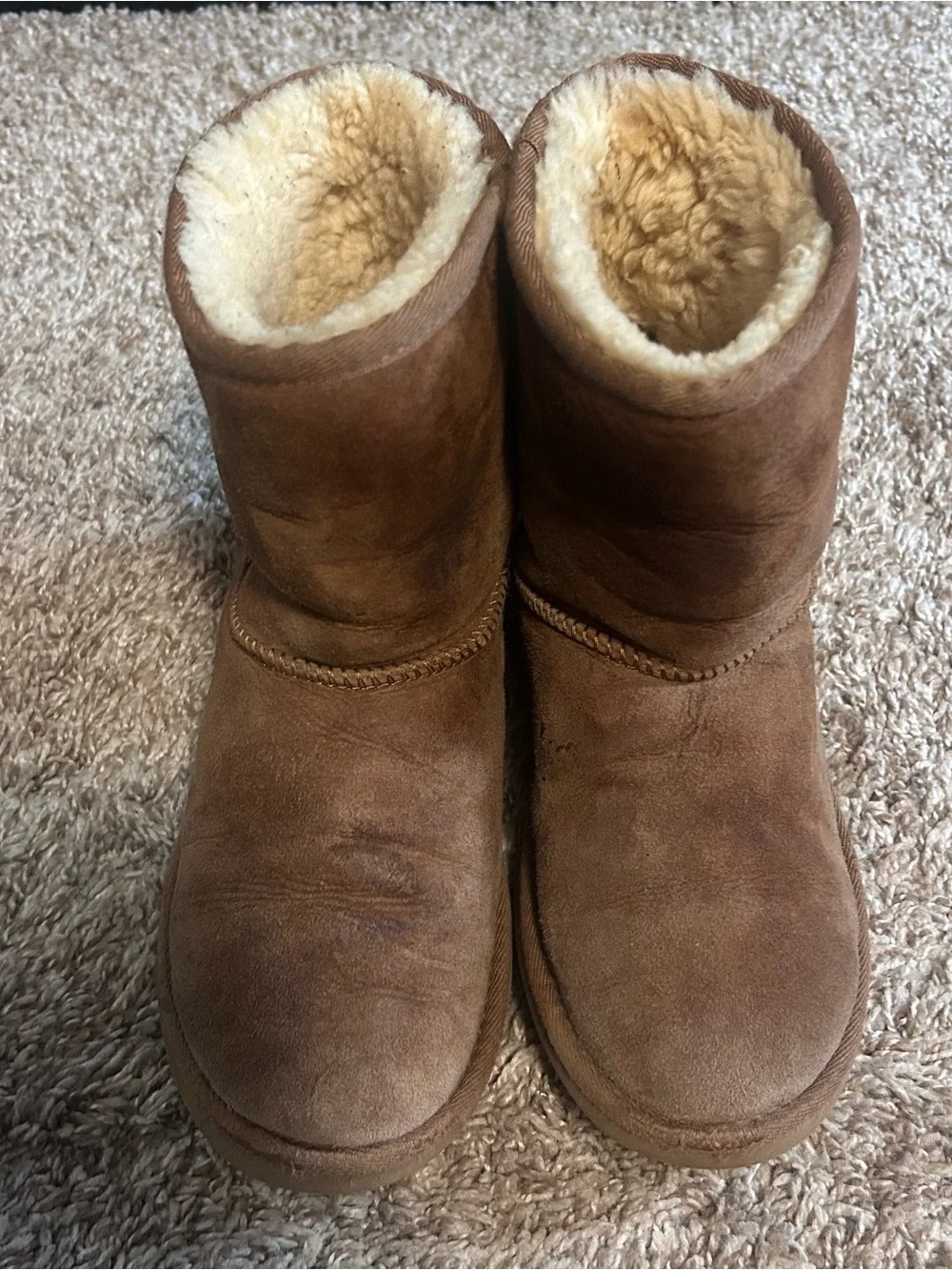 UGG Cozy chestnut Brown Shearling-Lined Short Boots
